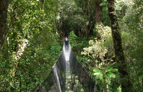 Tramping Mt Holdsworth