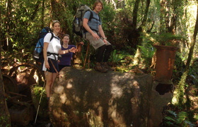 Tramping - Why to Why Why