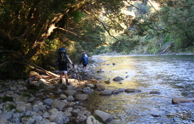 Tramping - Why to Why Why