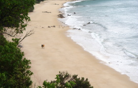Abel Tasman Coast Walk