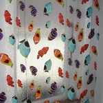 Fishes in the shower