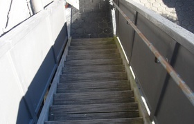 Newtown - a Touch of Paradise