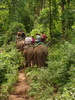 Part way through the elephant trek.