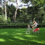 Riding along on my push bike, honey!