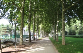 France: Lyon Partie Une