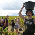 Not so professional, Tom.