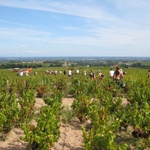 Here we go again ...