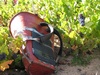 A carriers bucket.  These hold 80kg of grapes!