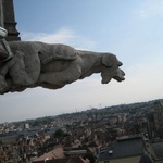 Is the gargoyle going to eat Dijon?