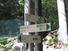 hmmm which way...