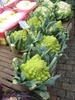 Never seen that before, Broccoli and Cauliflower had a baby?