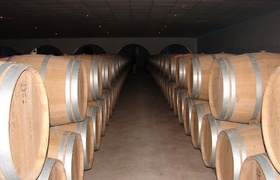 France: Full Bodied Bold Bordeaux