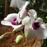 I want one when I grow up!