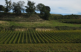 2007