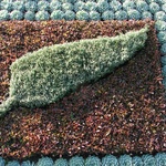 The silver fern even got mentioned!