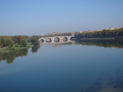 The view of Pont Neuf bridge The view of Pont Neuf bridge