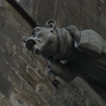 You get the impression they are trying to tell you something??