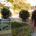 Courtyard of the hospital at Arles scene