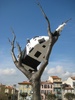 This lucky cow escaped certain death by being caught by a tree.