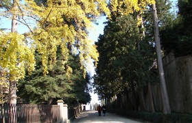 Italy: Firenze Florence in Marble