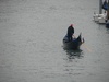 Another Gondola doing his job