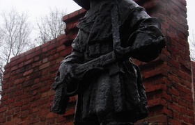 Snow Flakes on Poland