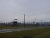 Auschwitz II Birkenau: Watch towers 