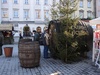 Krakow: The local wine barrel - line up!