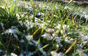 Snow Flakes on Poland