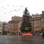 Warsaw: My what a BIG Christmas tree!