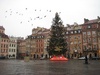 Warsaw: My what a BIG Christmas tree!