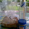 A picnic, kiwi style by the river. Bread, peanut butter and fanta. Way too hot for hot food!
