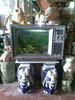 Crazy fish in the tv. Odd restaurant on big budda beach.