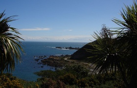 Best Wellington Summer Ever!