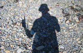 Best Wellington Summer Ever!