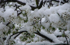 Our Fort in Fordwych
