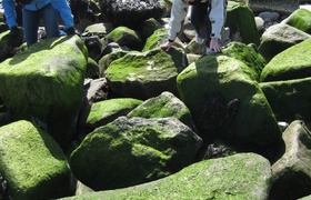 Easter in Penzance