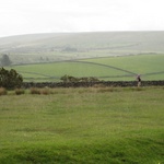 Mary Poppins in the distance - braving the rain to put her camera skills to the test ....