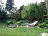 Japanese garden