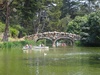 A pretty bridge in Golden Gate Park