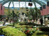 Funky shooting fountains inside the Bellagio