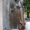Poor horsey wouldn't stop dribbling. Must be getting old.
