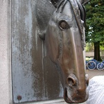 Poor horsey wouldn't stop dribbling. Must be getting old.