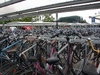 Millions of bikes parked at the train station.