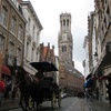 One of the hundreds of horse drawn carts racing the tourists through the streets.