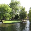 Pretty greenery around the canals.