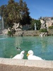Beautiful Fountain in Parc de la Ciutadella