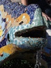 Lizard mosaic