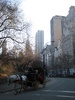Horse and Cart rides alongside Central Park