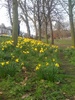 Spring time in Queens Park with an oog da boog behind the tree. Out flat hunting - will the next one be the one?